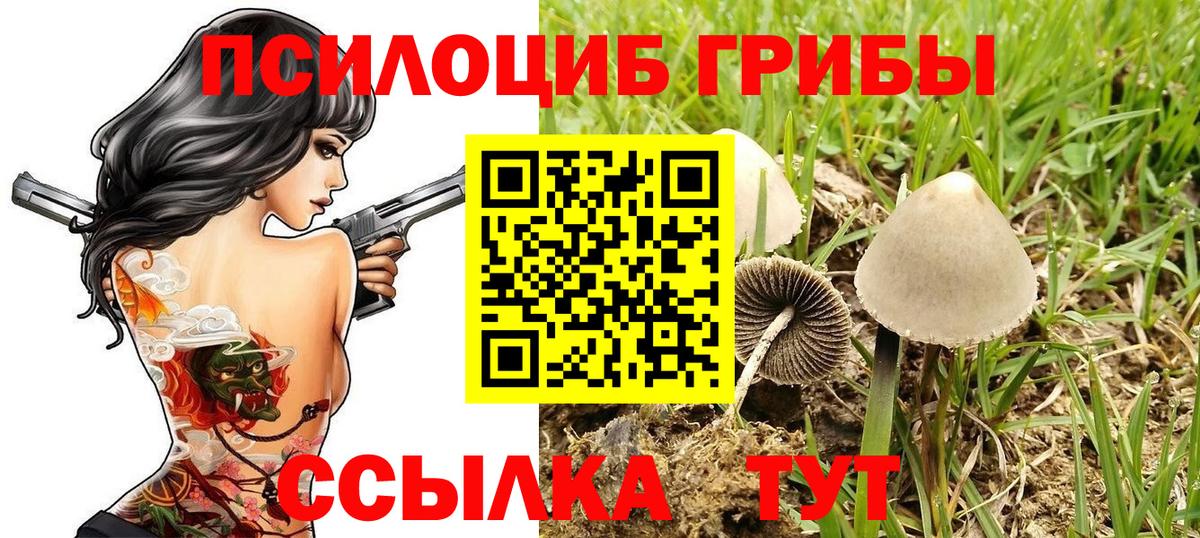 Галлюциногенные грибы ЛСД Югорск